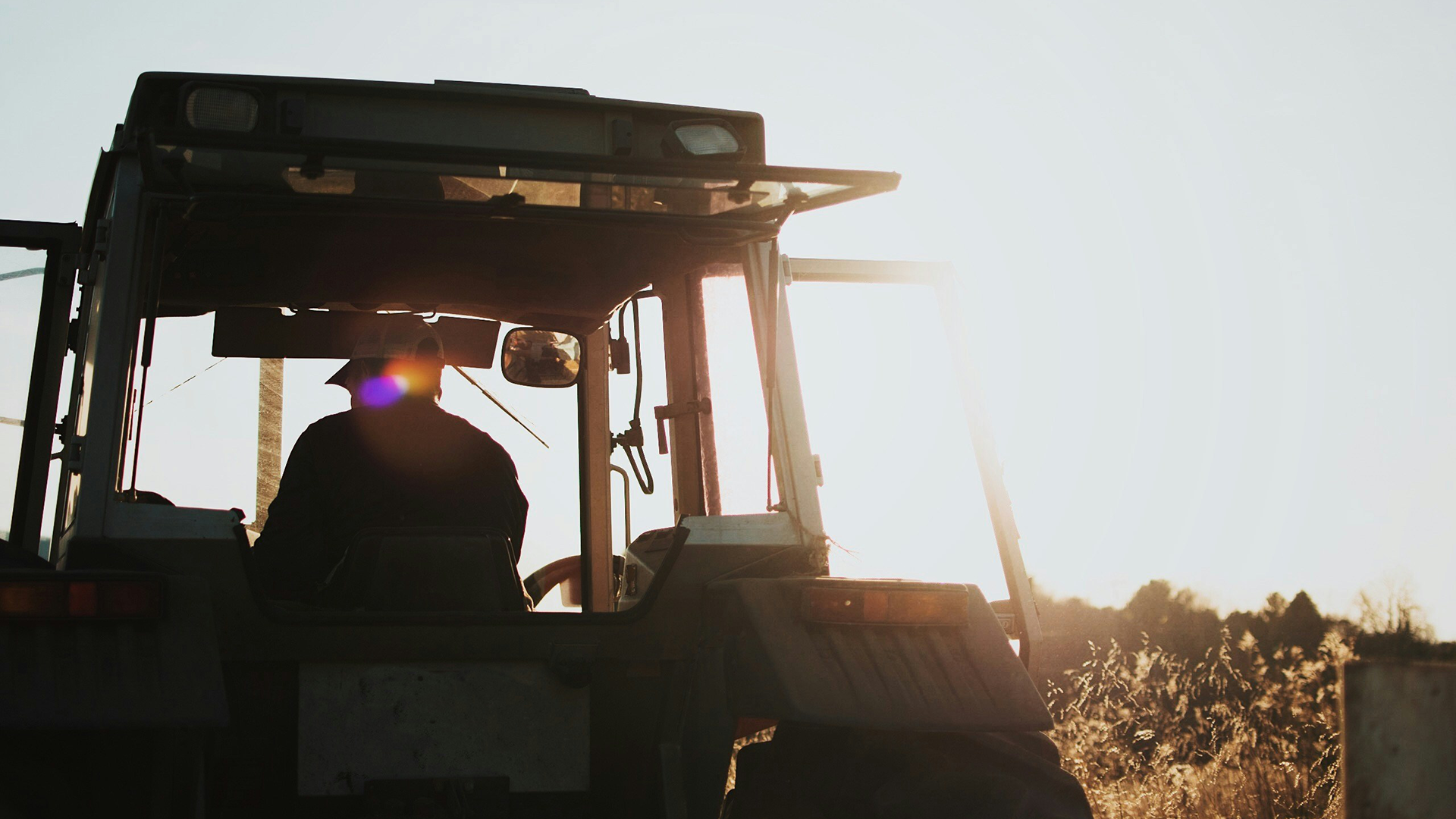 Come si svilupperà l'industria agricola in futuro?