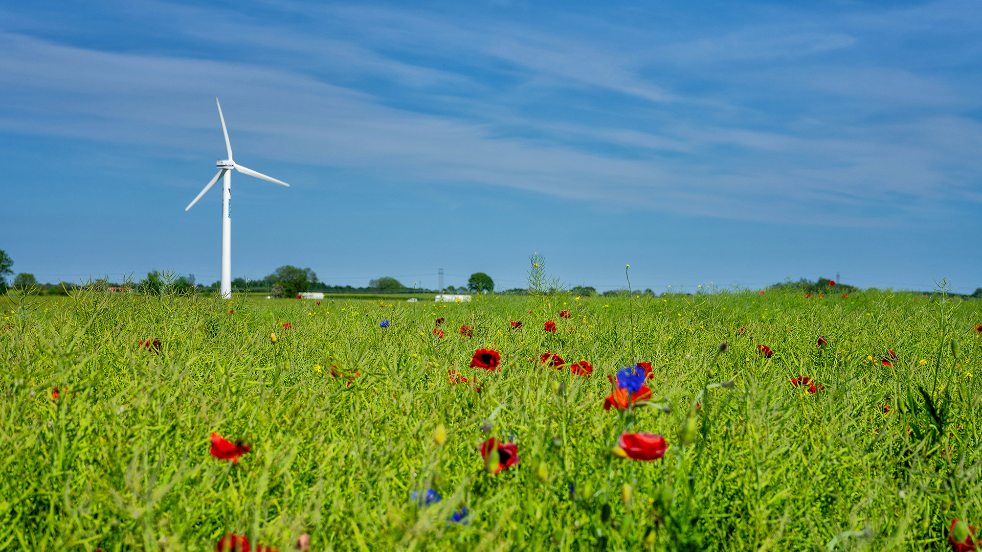 Le 5 tendenze Agritech da Conoscere