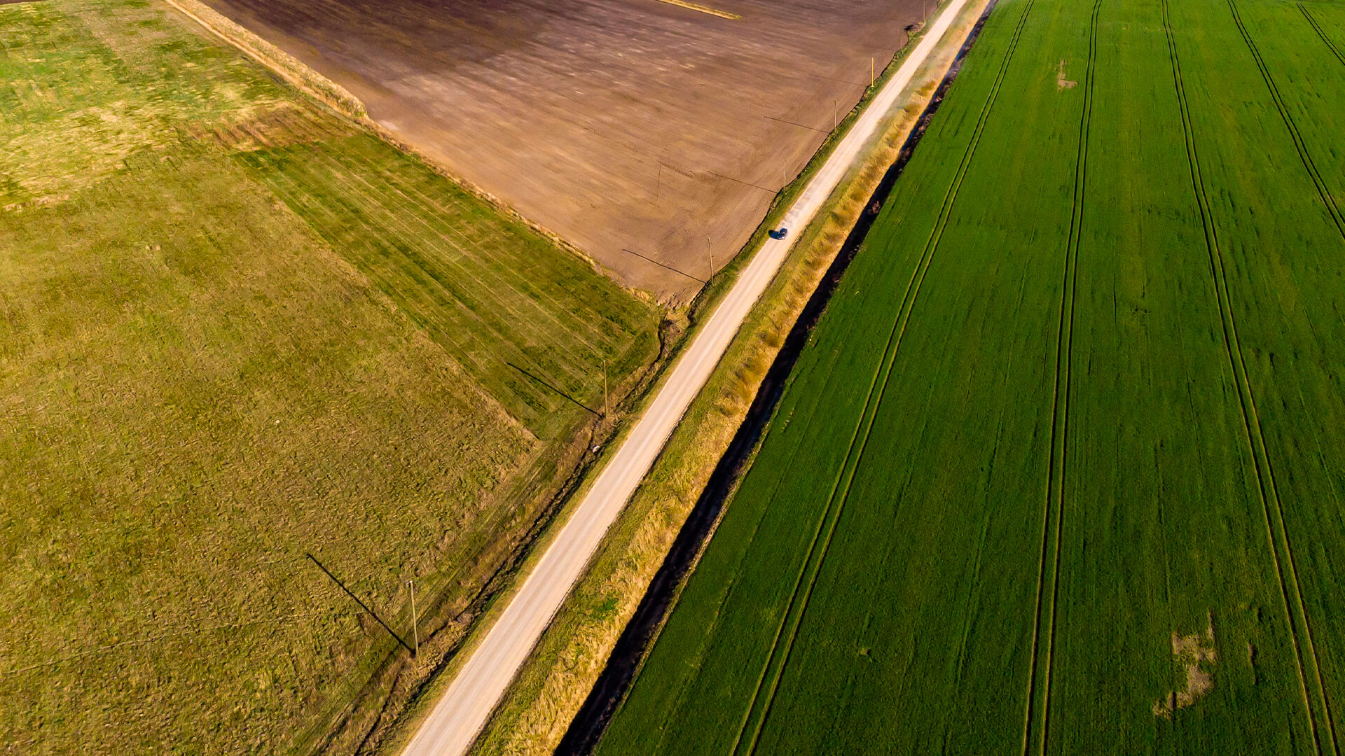 Interrelación Entre Agricultura y Cambio Climático