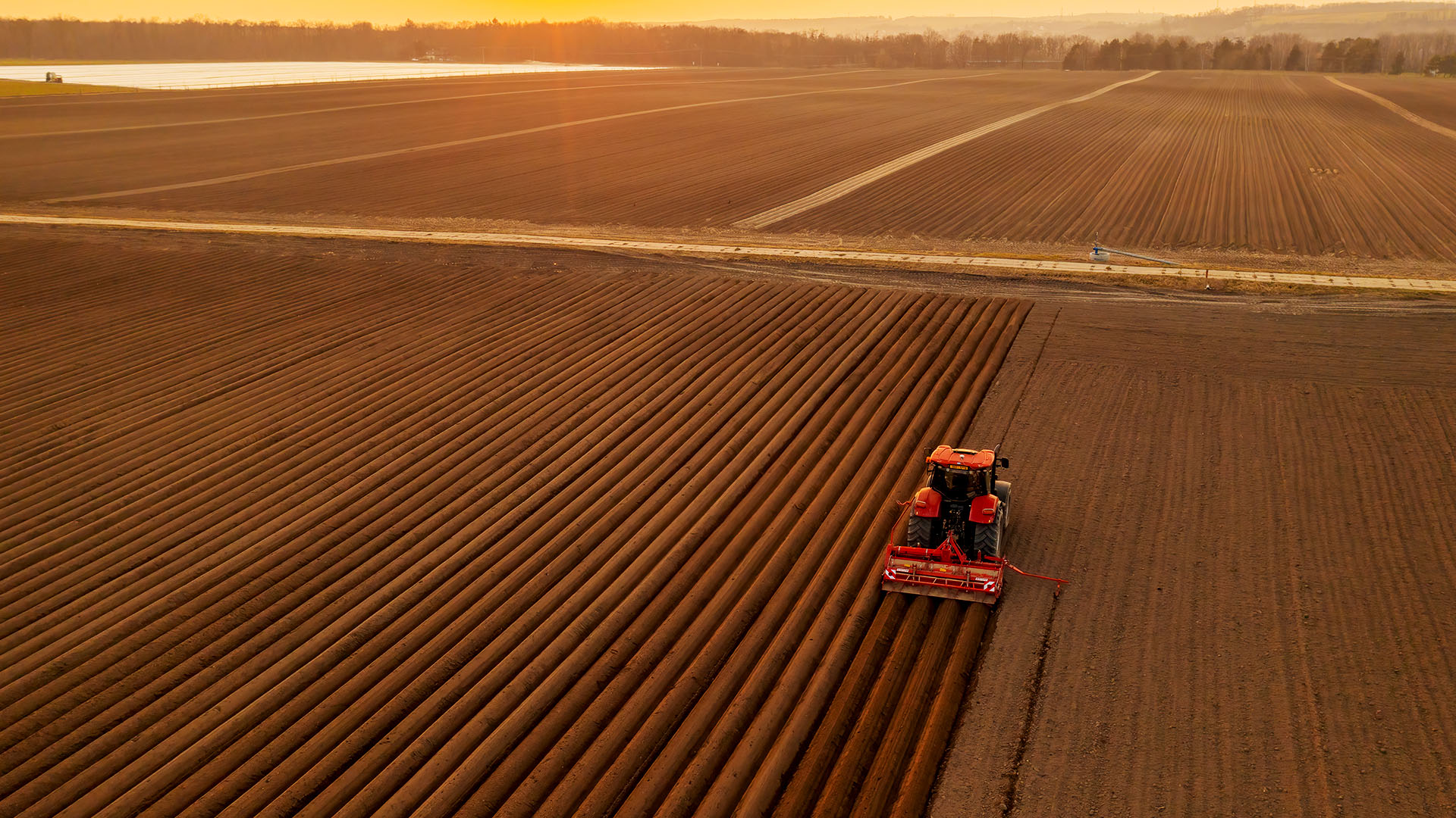 Quel avenir pour l’agriculture biologique?