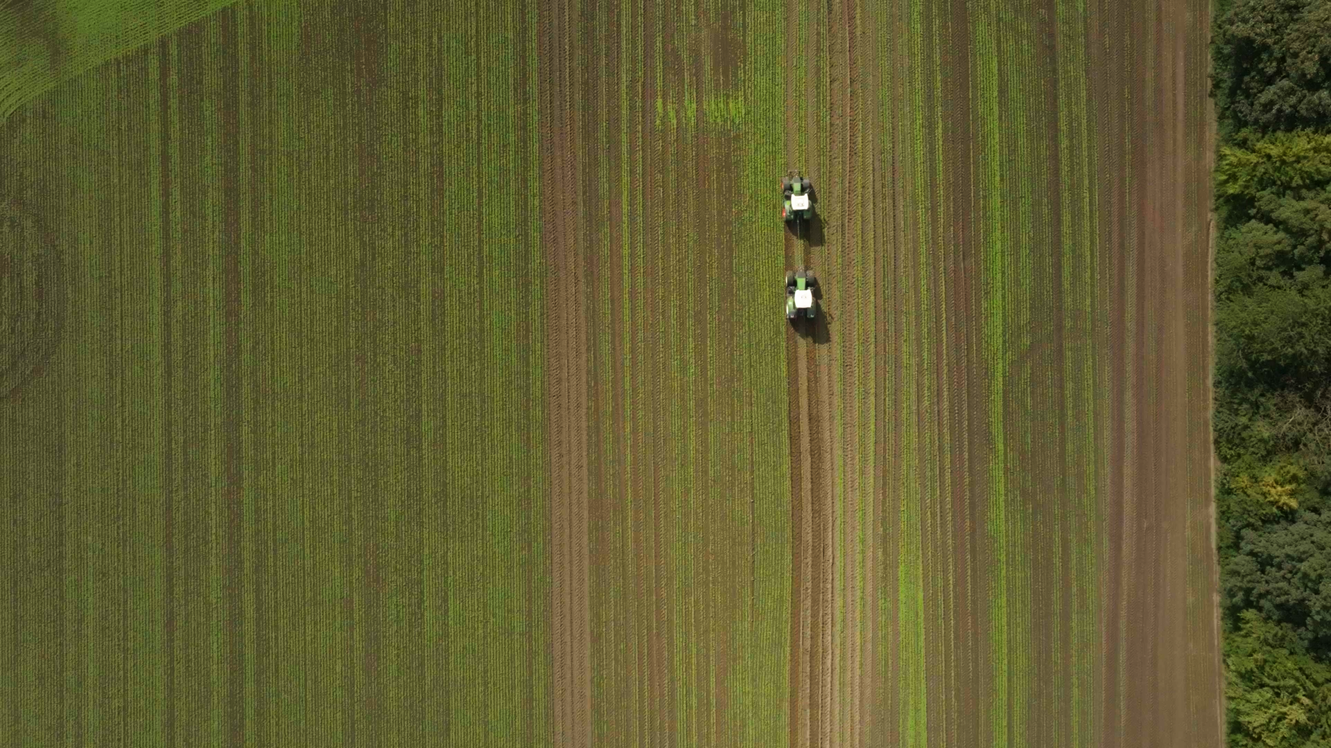 BKT OBTIENT LE LABEL DE QUALITÉ DLG : LES PNEUS AGRIMAX V-FLECTO SE DISTINGUENT DANS LES ESSAIS SUR LE TERRAIN ET EN LABORATOIRE AVEC DES RÉSULTATS GAGNANTS