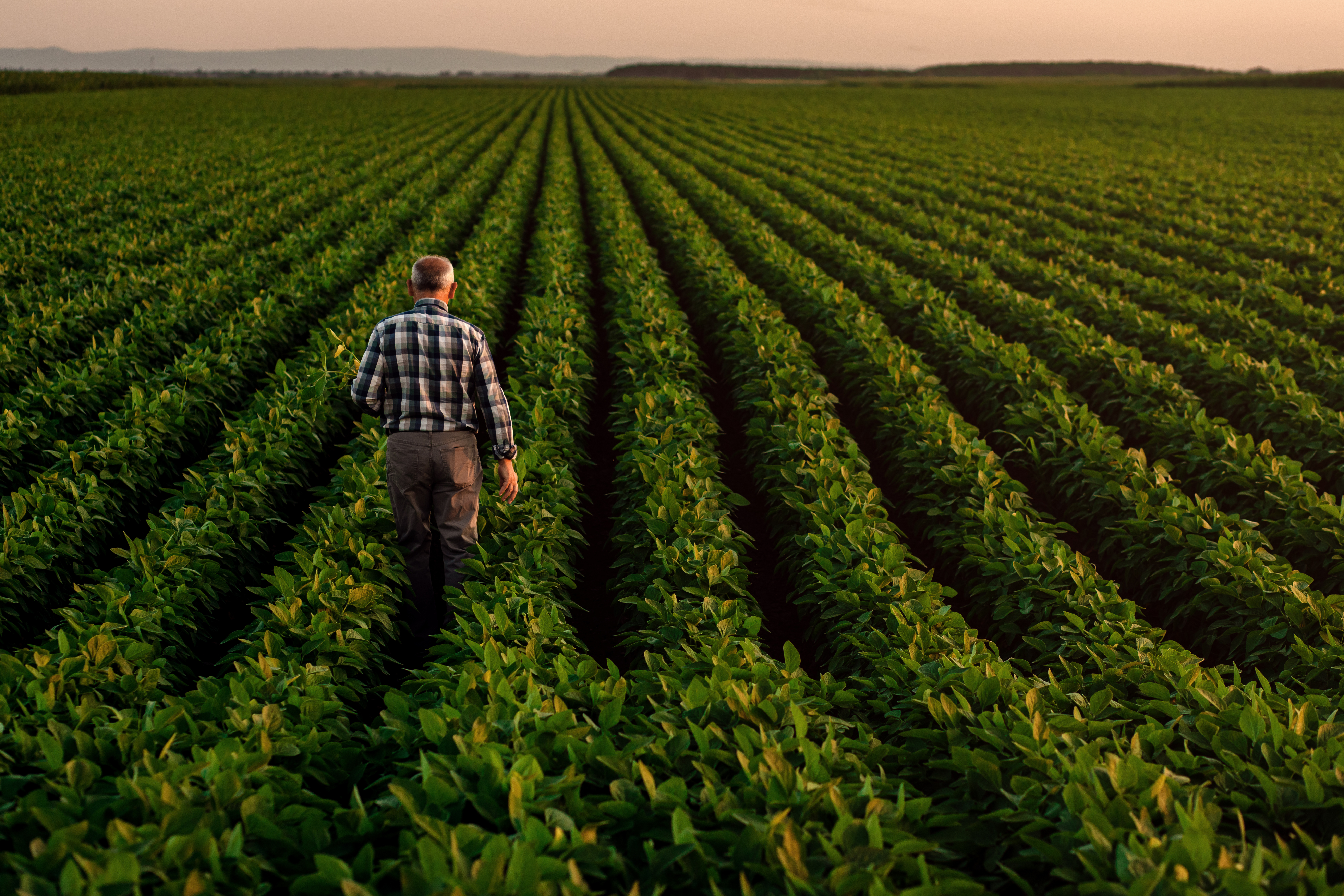 Maquinaria Agrícola: Lo Que Nos Depara El Futuro (Cercano) 6