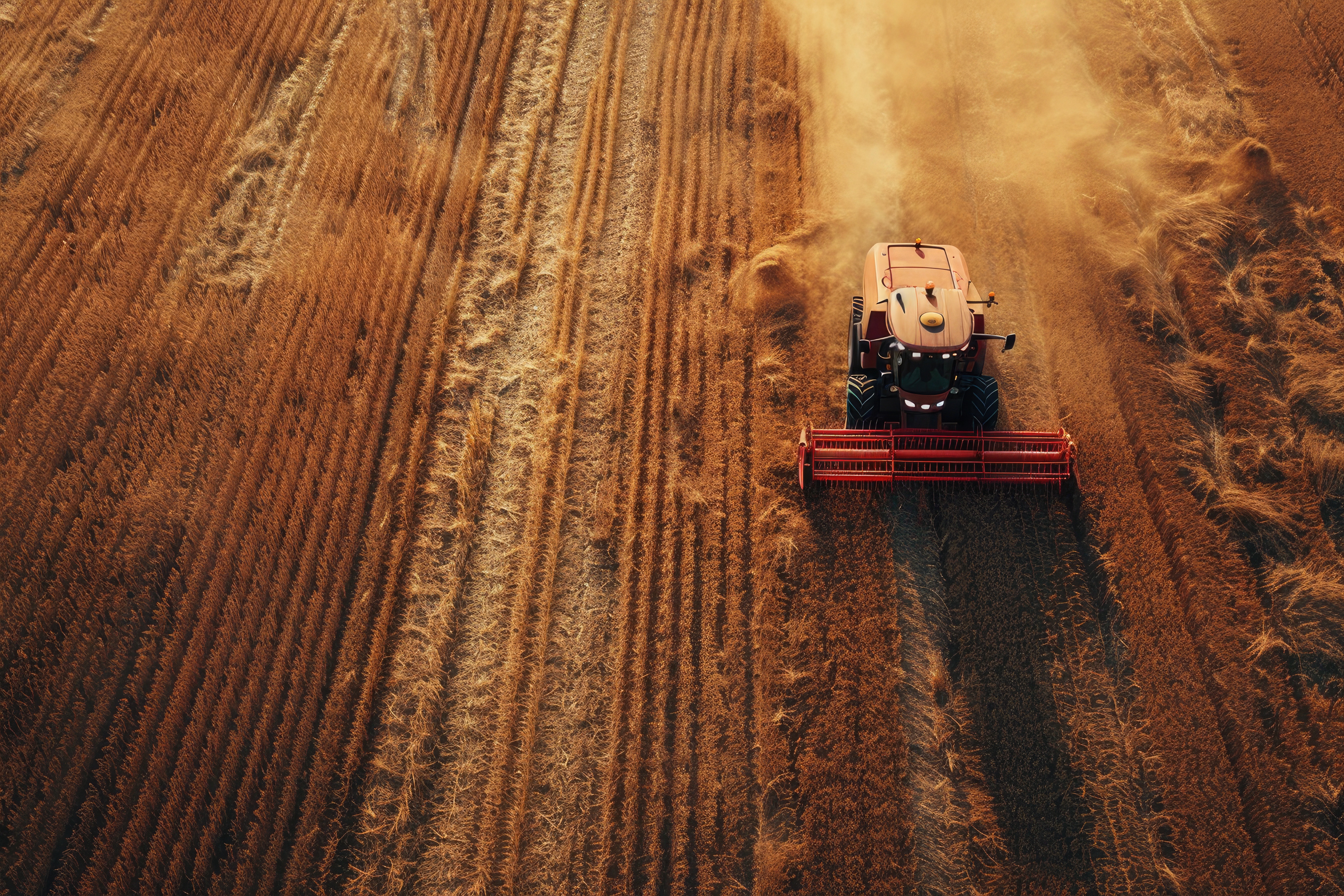 Agricoltura digitale e 4.0: a che punto siamo realmente 2