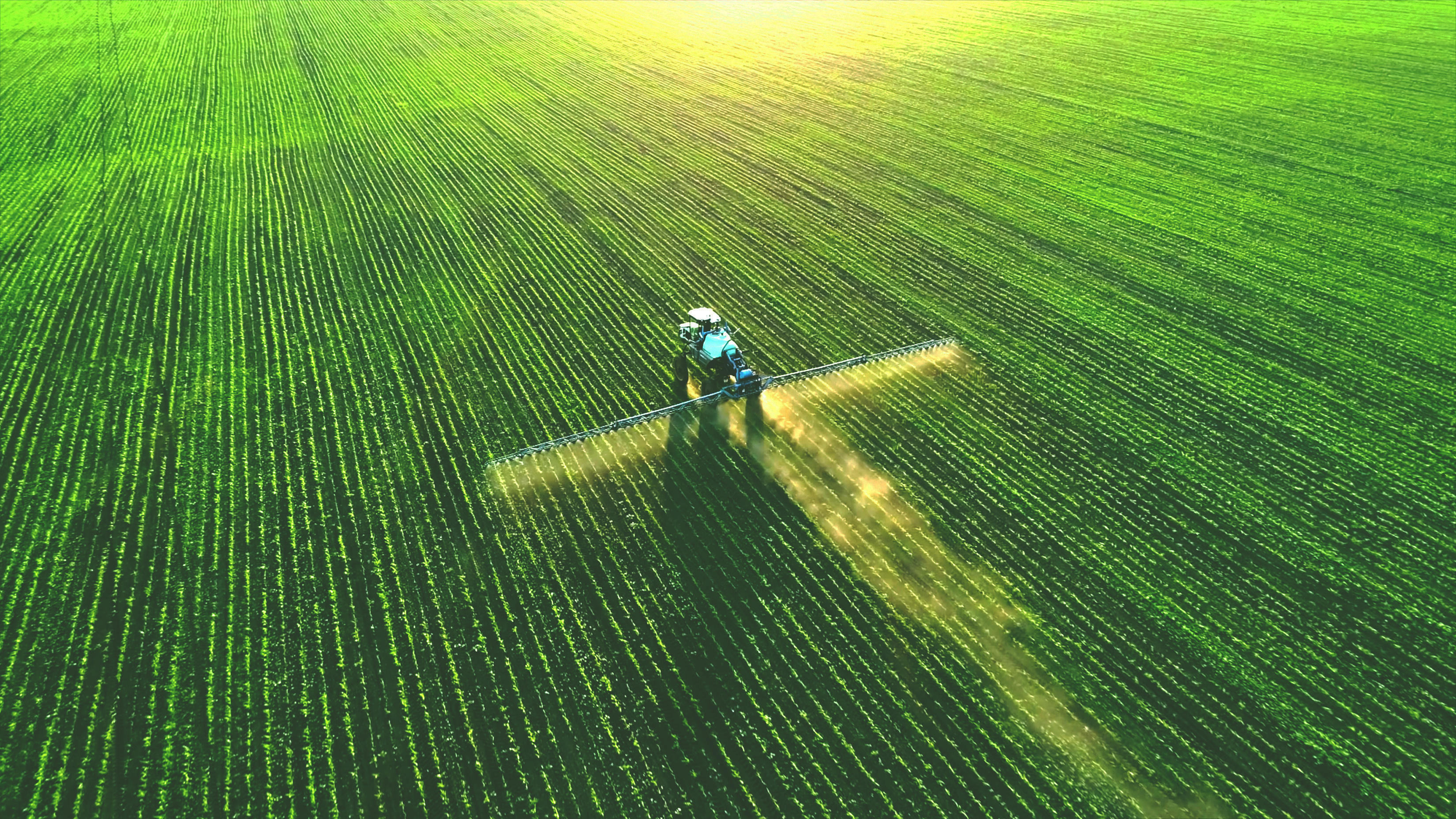 L’IA per il controllo delle infestanti nella difesa chimica e meccanica