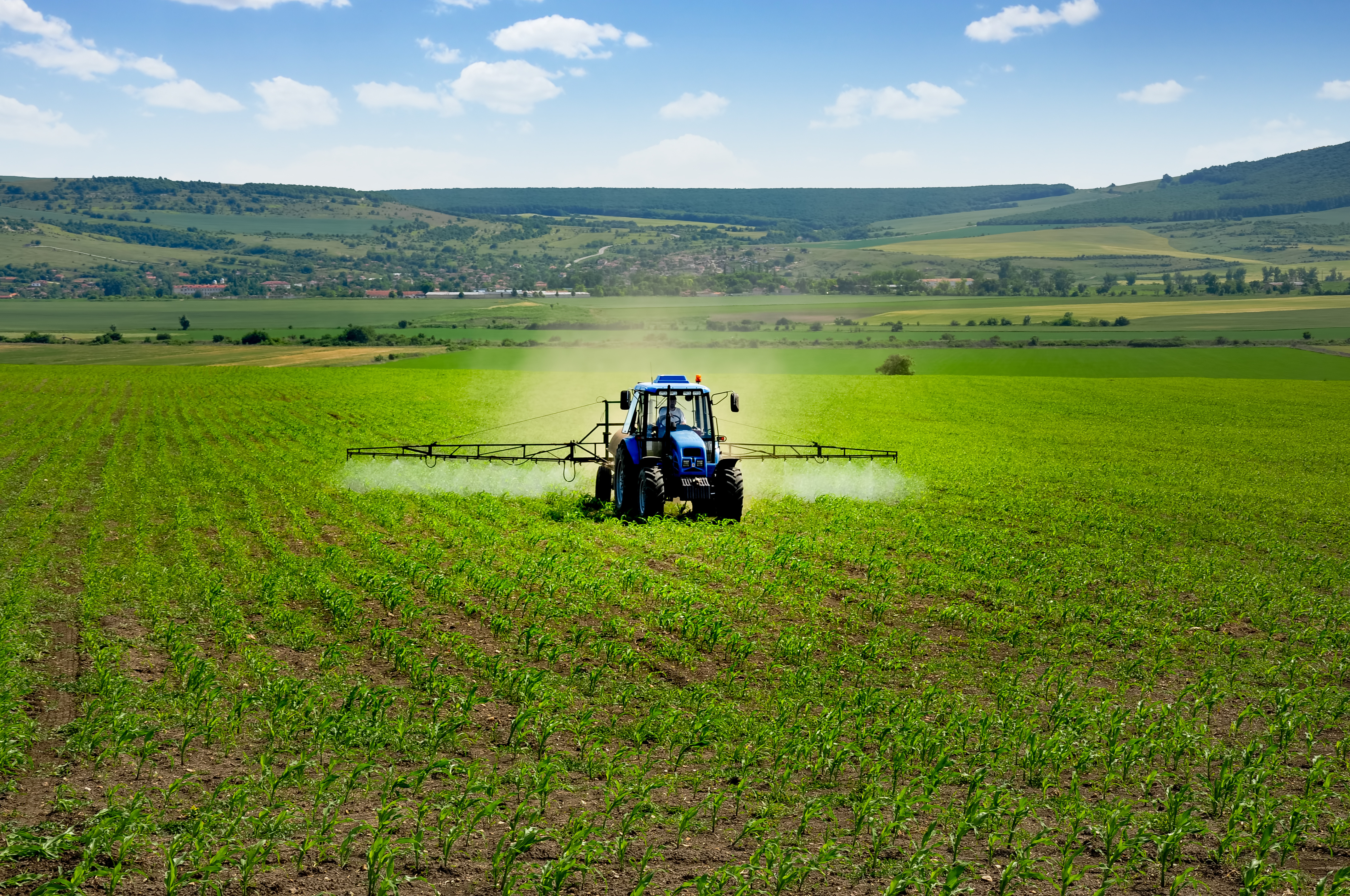 L’IA pour la lutte contre les mauvaises herbes dans la défense chimique et mécanique 1