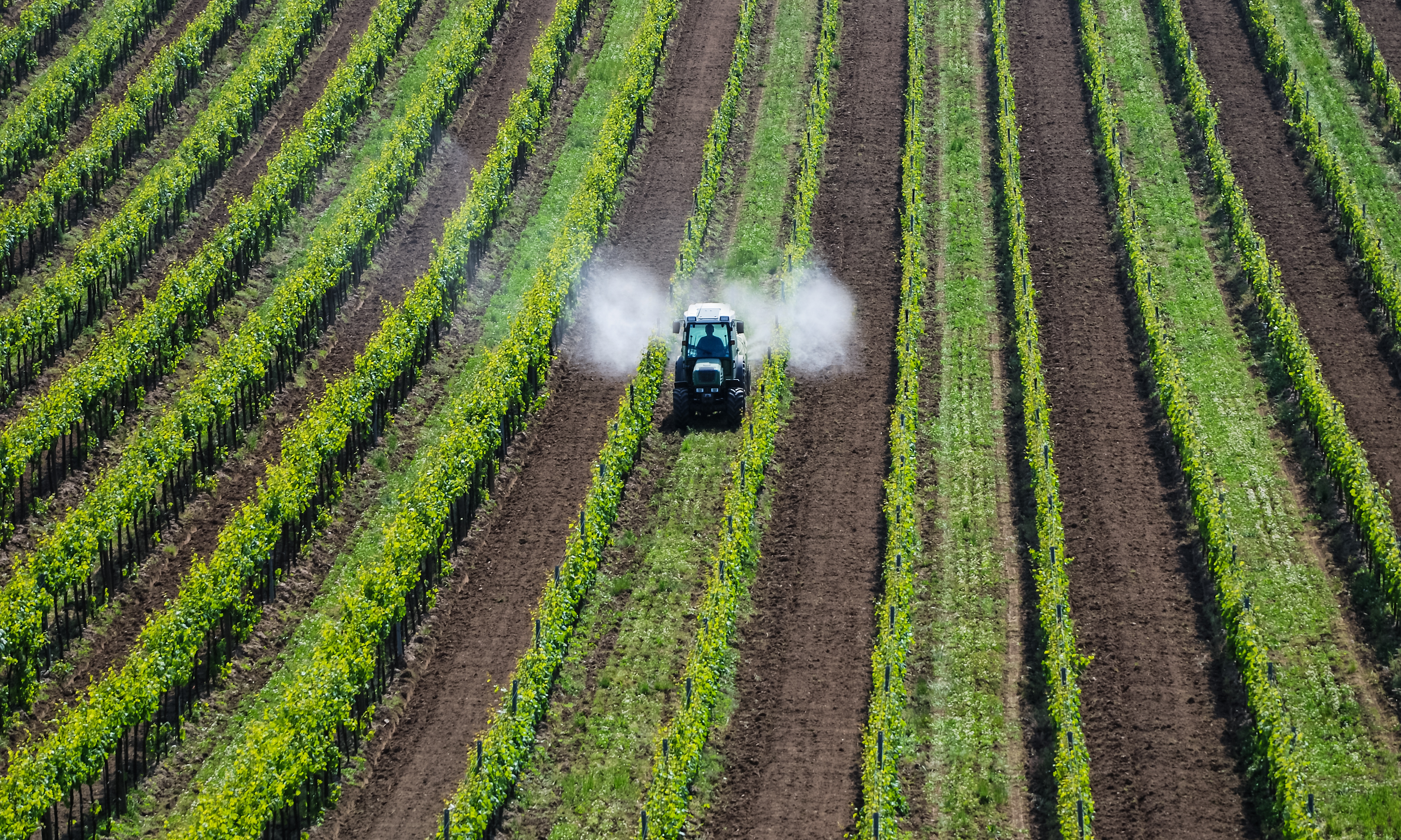 L’IA per il controllo delle infestanti nella difesa chimica e meccanica 2