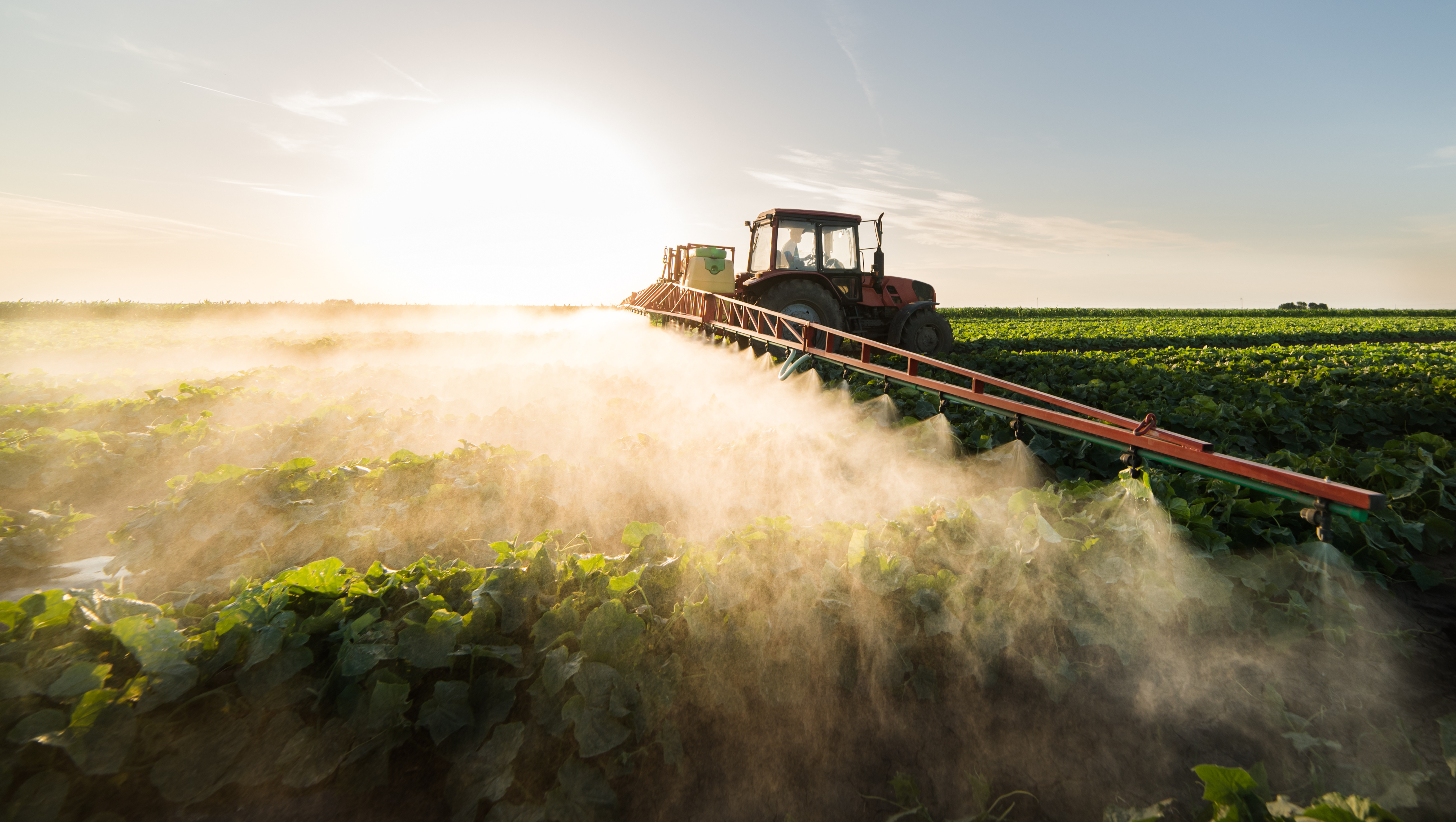 L’IA pour la lutte contre les mauvaises herbes dans la défense chimique et mécanique 3