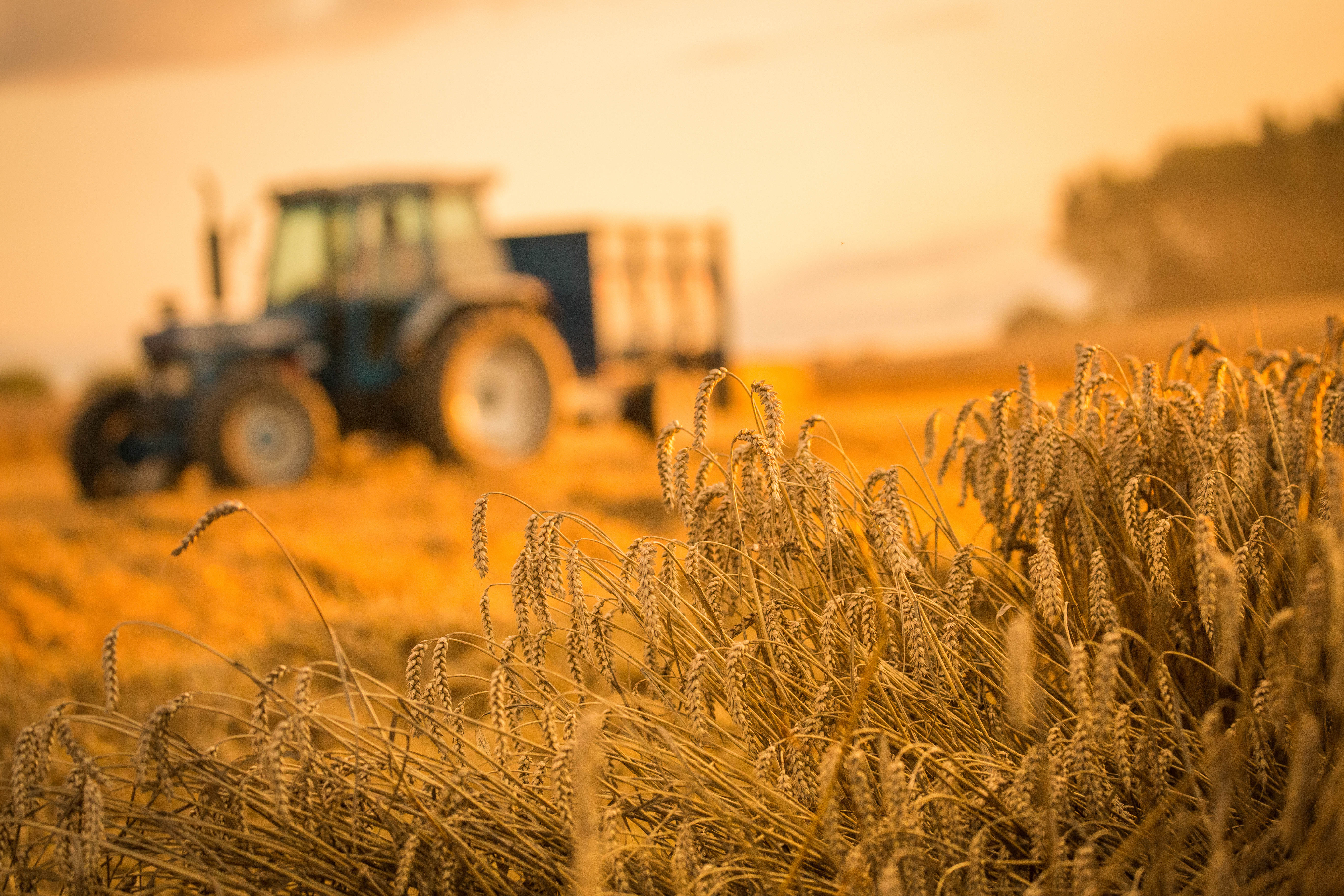 Tracteur neuf, d’occasion ou loué : lequel vous convient? 1