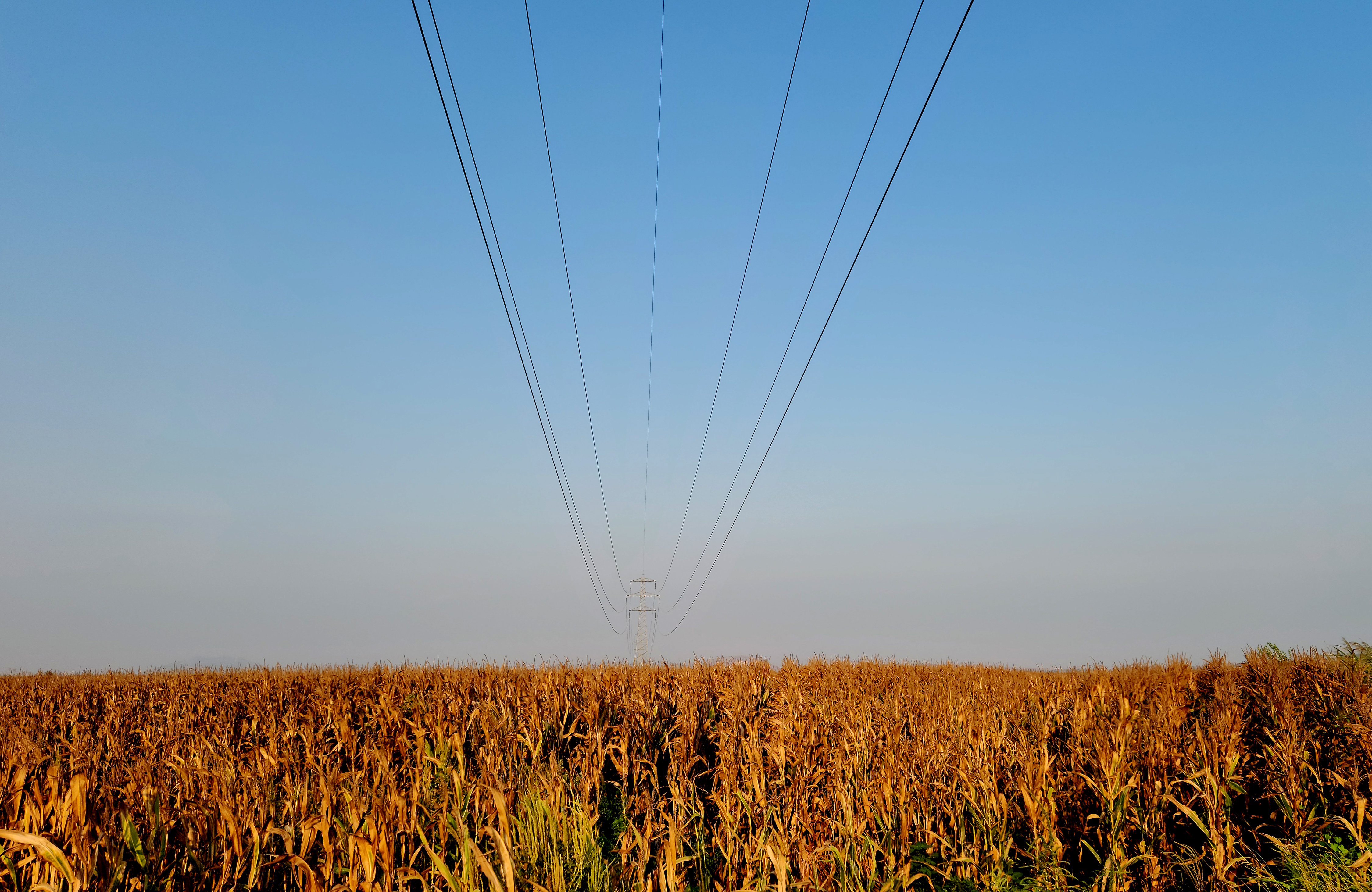 Elettrificazione nei mezzi agricoli: è l’unica strada? 1