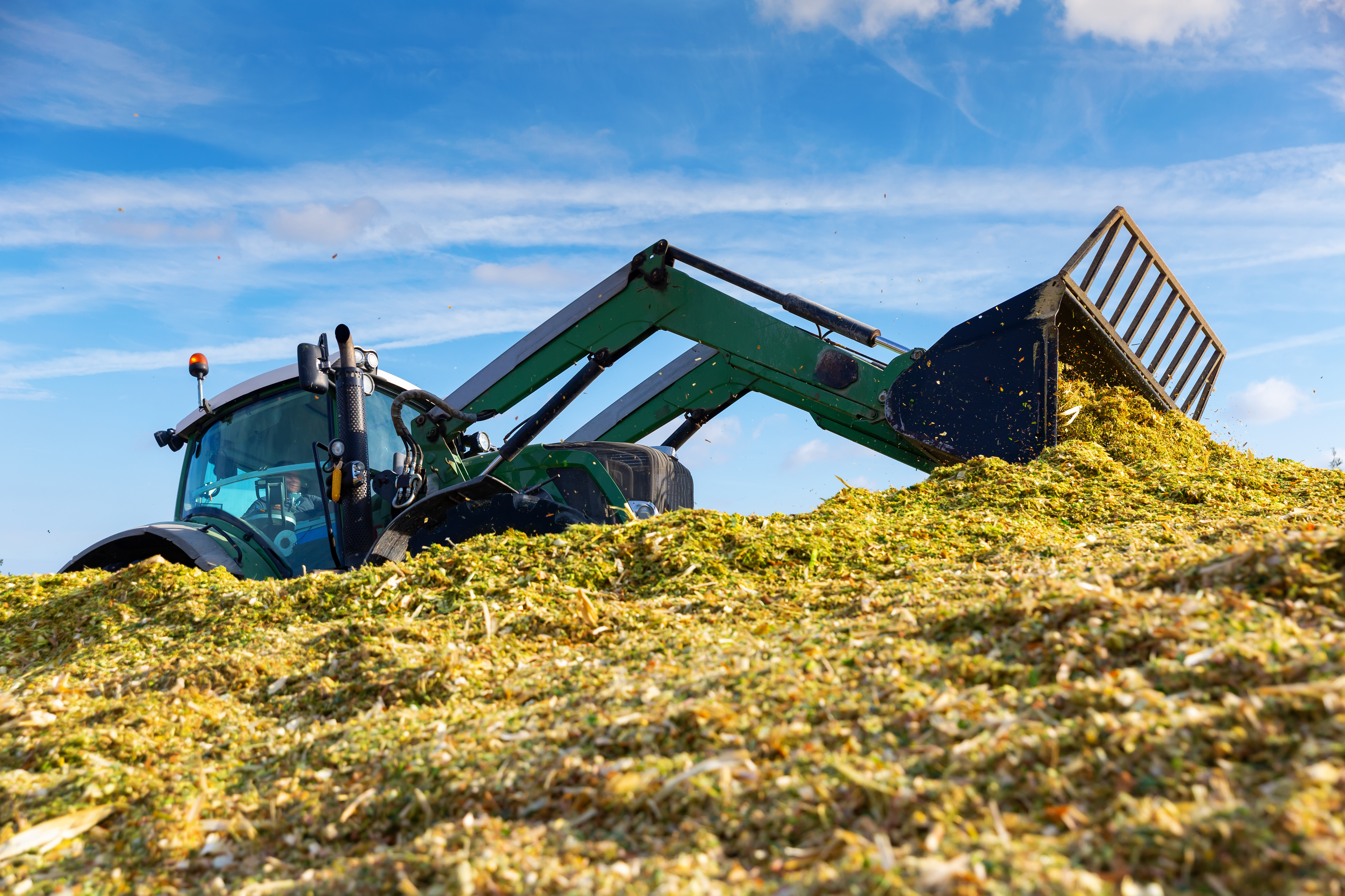 Corn Silage: How to Make It Perfect